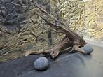 aquarium, RiverCatch, Plant(en), Steen of Hout, Nieuw, Ophalen of Verzenden