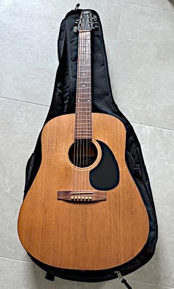 Gitaar SEAGULL, Muziek en Instrumenten, Snaarinstrumenten | Gitaren | Akoestisch, Gebruikt, Western- of Steelstringgitaar, Ophalen