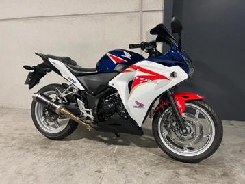 Honda CBR250 R lichte wendbare bike in topstaat (bj 2012) beschikbaar voor biedingen