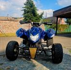 Quad access lijkt op yamaha, Motoren