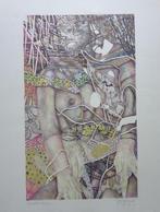 PIERRE VLERICK / ANCOLIE / KLEURLITHO / 61x45cm / SIG, Ophalen of Verzenden