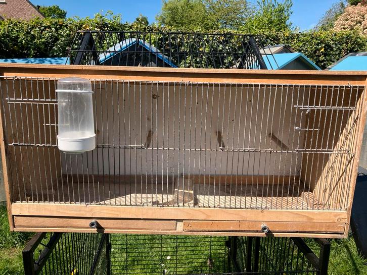 PRIJSJE: HOUTEN KWEEKBAKKEN VANAF 10 EURO/STUK, Dieren en Toebehoren, Vogels | Hokken en Kooien, Zo goed als nieuw, Broedkooi of Kweekkooi