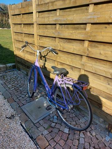 festival fietsen beschikbaar voor biedingen