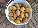 Heerlijke Kiwi's uit eigen tuin, Zakelijke goederen, Landbouw | Aardappelen, Groenten, Fruit en Vlees, Ophalen of Verzenden