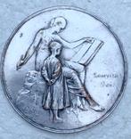 Medaille, penning Comite Provencial Secours, Brabant 1914-19, Verzamelen, Ophalen of Verzenden, Overige soorten, Lintje, Medaille of Wings
