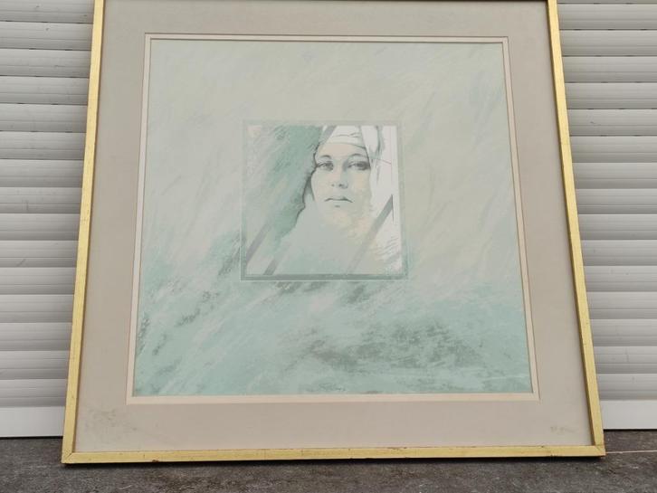 Lithographie signe Walter f brems, Antiek en Kunst, Kunst | Litho's en Zeefdrukken, Ophalen of Verzenden