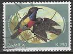 Zambia 1994 - Yvert 587 - Anchieta's honingzuiger  (ST), Timbres & Monnaies, Timbres | Afrique, Zambie, Affranchi, Envoi