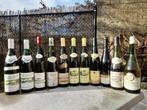 Lot oude witte wijnen, Collections, Vins, Enlèvement