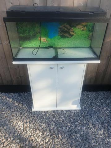 A vendre magnifique aquarium vide Ciano 80 + armoire 