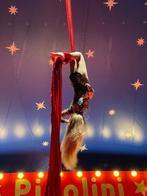 Aerial silk, Ophalen of Verzenden, Nieuw, Kunst en Creatief