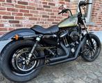 Harley Davidson Iron 883 (2015), Motos, ABS, Entreprise, Chopper, 2 cylindres