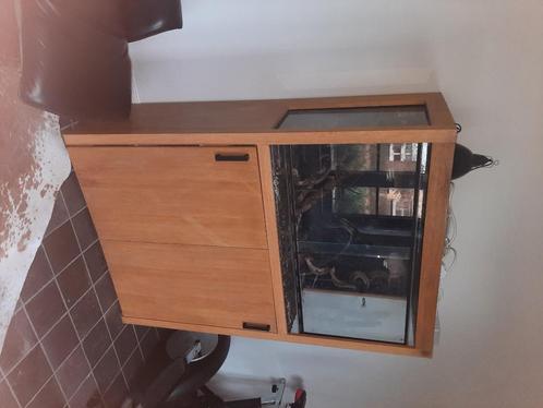 Terrarium met eiken kast., Dieren en Toebehoren, Reptielen en Amfibieën | Toebehoren, Gebruikt, Terrarium of Paludarium, Ophalen
