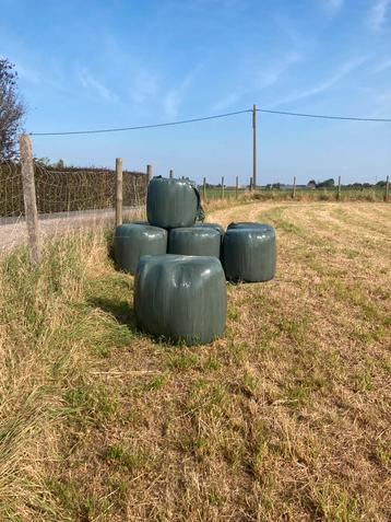 Midi balen beschikbaar voor biedingen