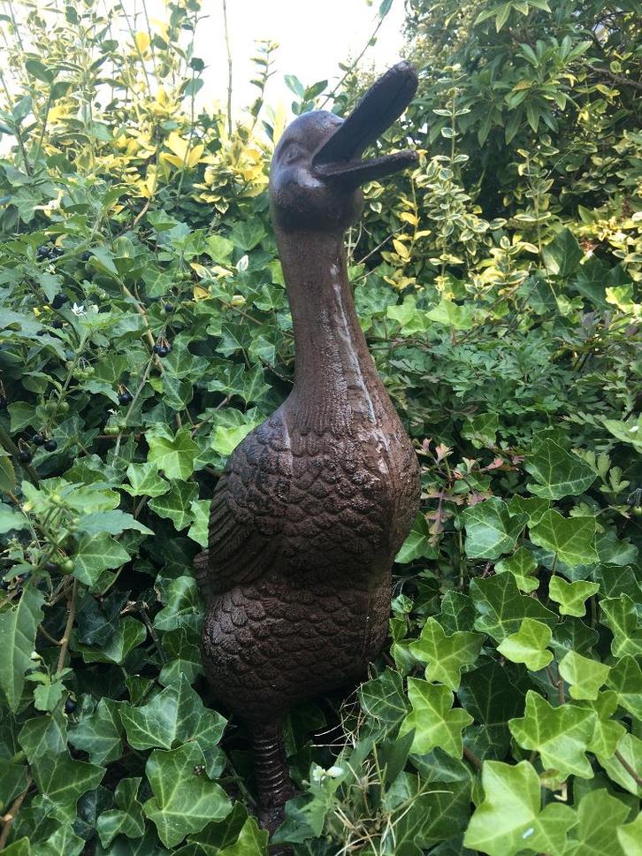 Prachtige eend, gietijzer, bruin., Tuin en Terras, Tuinbeelden, Dierenbeeld, Metaal, Ophalen of Verzenden