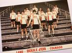 wielerkaart 1980  team boule d'or colnago   fons de wolf, Verzenden, Zo goed als nieuw