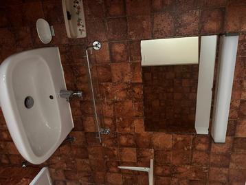 Wasbak lavabo, Enlèvement, Comme neuf, Inox, Robinet