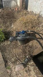 GRATIS AF TE HALEN – GOUDVISJES + FILTER, Ophalen, Zo goed als nieuw