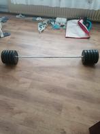 Halter Haltergewicht, Ophalen, Zo goed als nieuw, Armen, Halterschijven