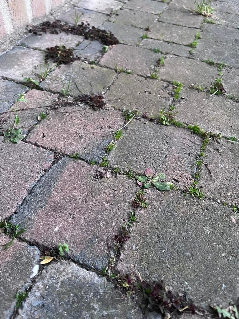 Klinkers - ca 30 vierkante m, Ophalen, Gebruikt, 10 m² of meer, Klinkers