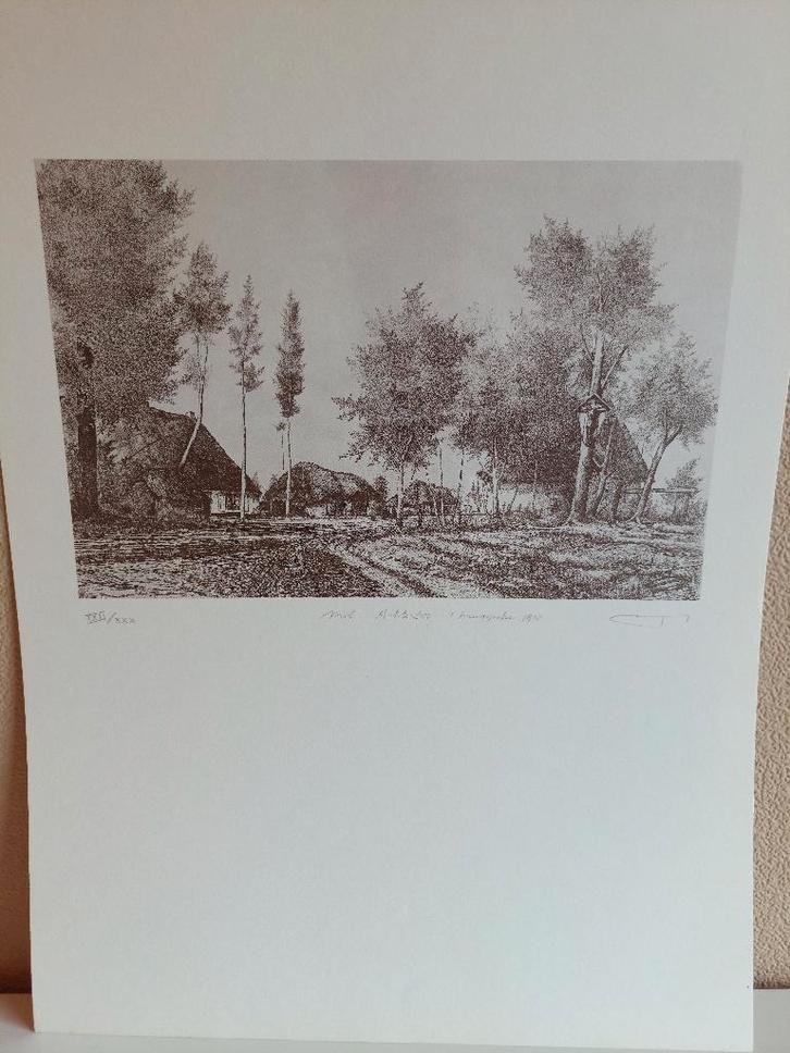 Gesigneerde Ets "Mol Achterbos 1910" - V. Buys (XXII/XXX ), Antiek en Kunst, Kunst | Etsen en Gravures, Ophalen