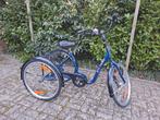 Driewieler voor volwassenen, Fietsen en Brommers, Ophalen, Gebruikt, Tri-bike