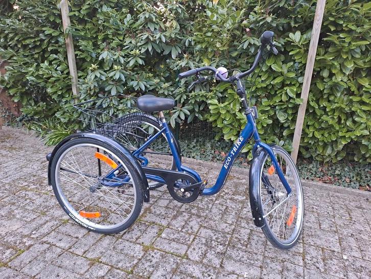 Driewieler voor volwassenen, Fietsen en Brommers, Fietsen | Driewielfietsen, Gebruikt, Ophalen