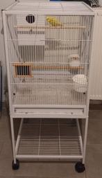 Vogelkooi met koppel grasparkieten, Dieren en Toebehoren, Ophalen, Vogelkooi