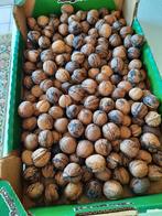 Walnoten te koop, Diversen, Levensmiddelen, Ophalen