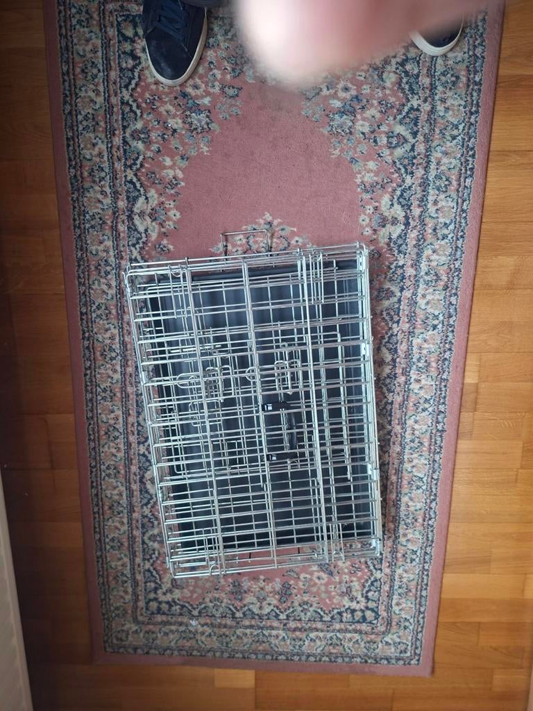 Bench voor honden, Ophalen