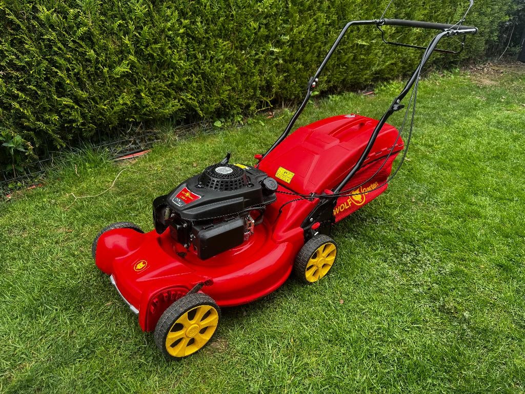 Tondeuse Wolf Garten 53cm - 2023, Jardin & Terrasse, Tondeuses à gazon, WOLF Garten, Fonction de mulching, Tondeuses à gazon à essence