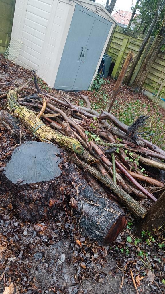 Gratis brandhout, Tuin en Terras, Brandhout, Ophalen