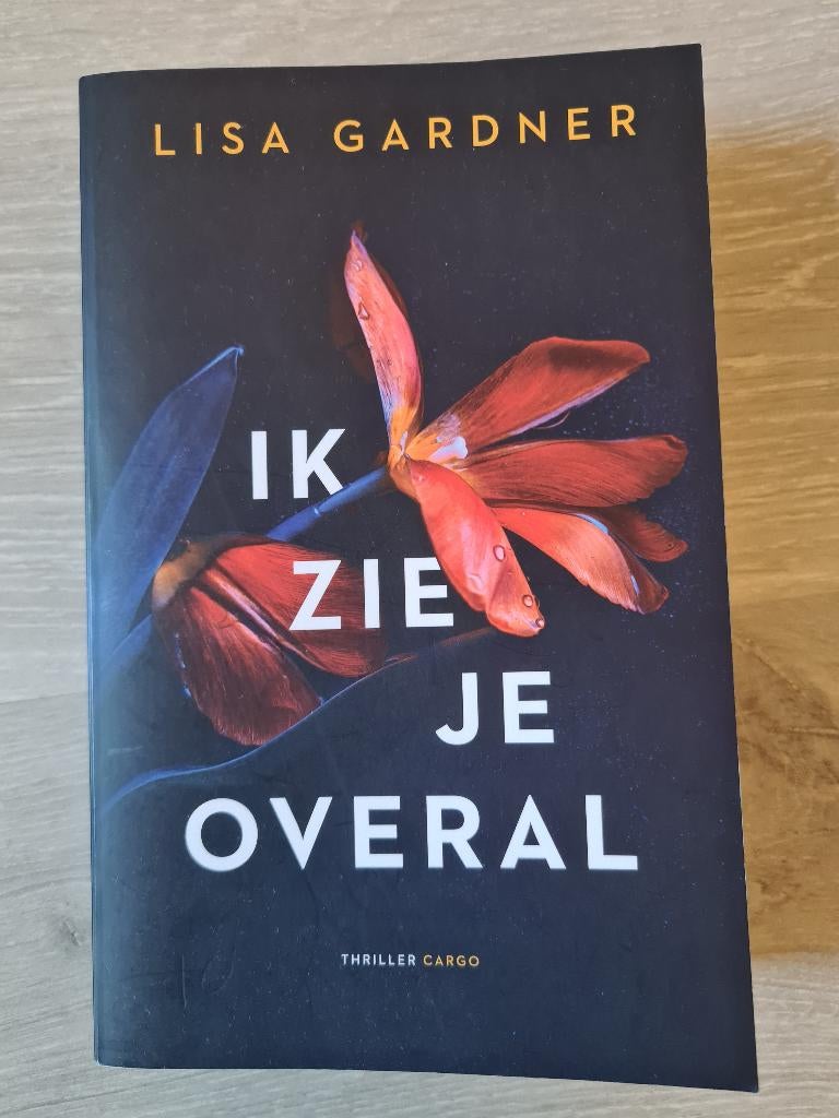 Ik zie je overal, Ophalen, Zo goed als nieuw, Lisa Gardner