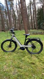 Riese & Muller met fietstas, Enlèvement, Utilisé, 30 à 50 km par batterie, Riese & Müller