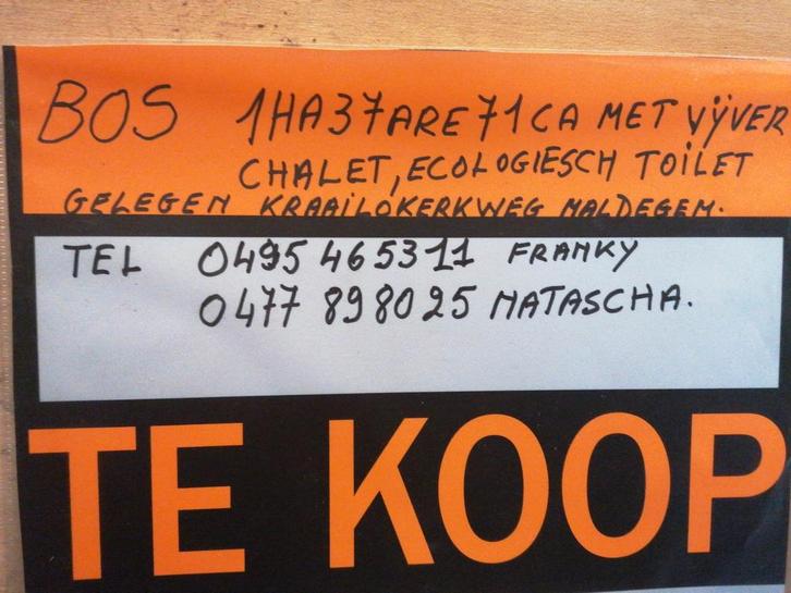 Forêt à vendre 13771 m2, Immo, Terrains & Terrains à bâtir