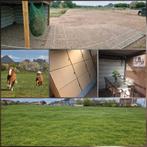 Pension all-in pour poneys et shetlands