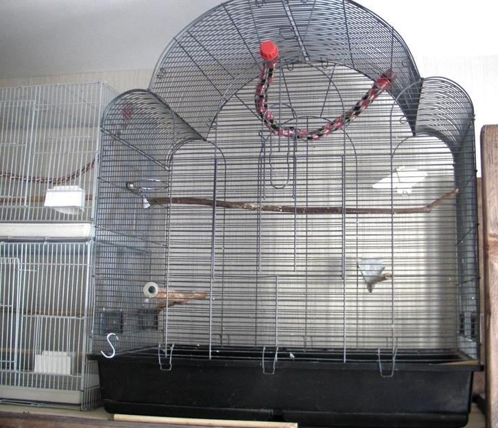 Grande cage, Dieren en Toebehoren, Vogels | Hokken en Kooien, Gebruikt, Vogelkooi, Metaal, Ophalen
