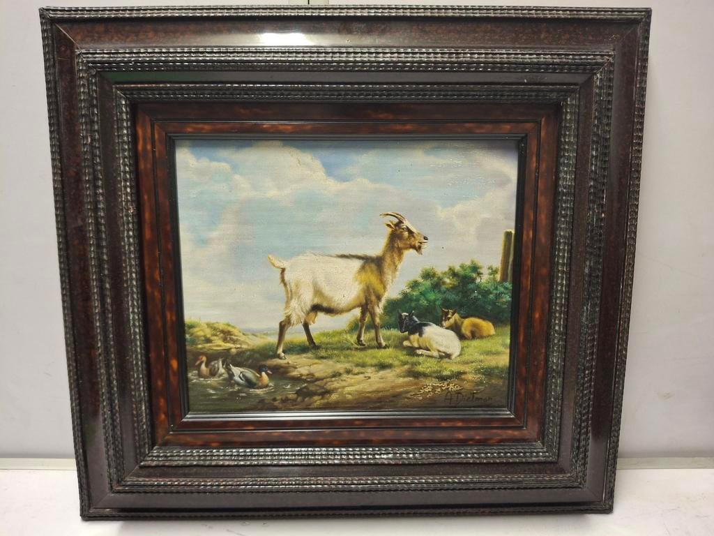 A. Dielman geitjes, Ophalen