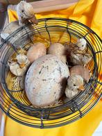 Ancien panier en fer à décor de Pâques, Enlèvement ou Envoi, Comme neuf