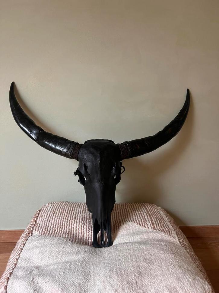 Grote echte waterbuffel schedel tribal boho wanddecoratie, Huis en Inrichting, Woonaccessoires | Wanddecoraties, Nieuw, Ophalen