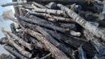 Bois à donner, Jardin & Terrasse, Moins de 3 m³, Enlèvement, Frêne, Bûches