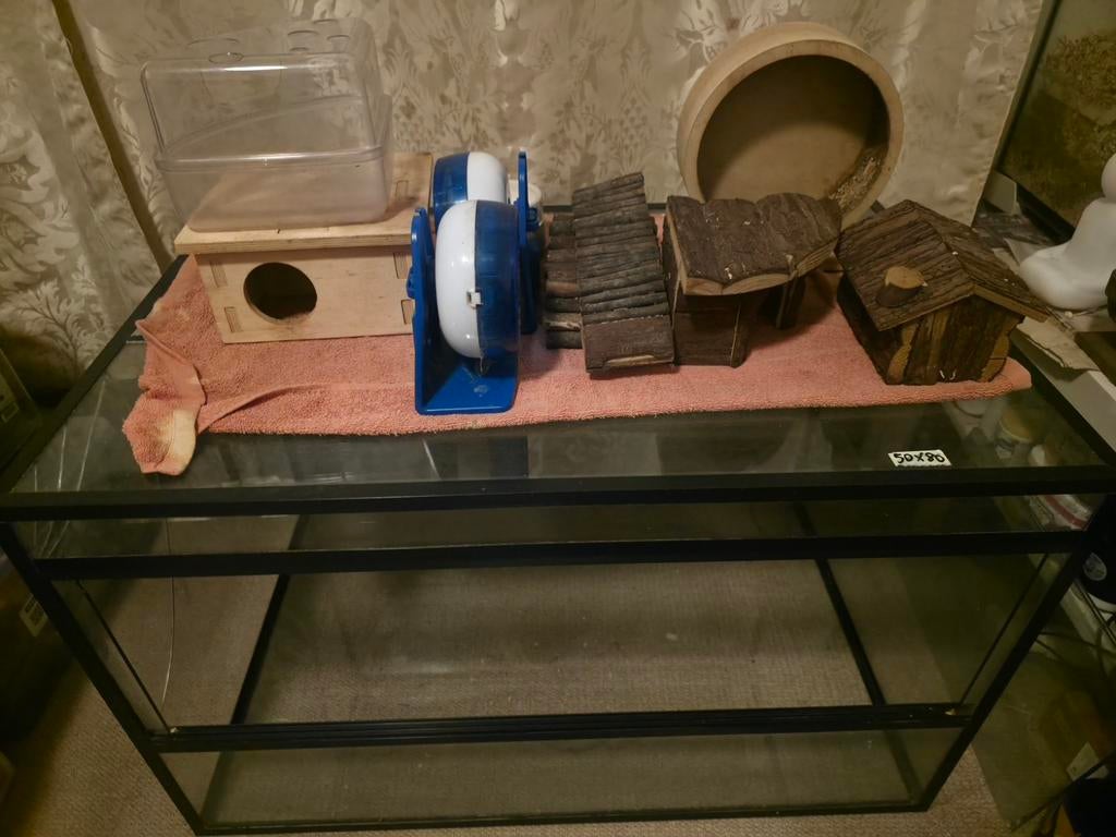 Hamster kooi glas 50x80, Enlèvement