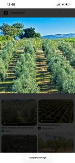 Agrarisch grond marokko, Articles professionnels, Agriculture | Immobilier agricole, Enlèvement ou Envoi, 5 à 20 ha