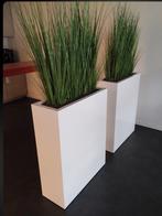 Plantenbakken, Ophalen, Binnen, 60 tot 100 cm, 60 cm of meer