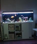 Aqualantis aquarium 150x54x43 met alles, Ophalen, Zo goed als nieuw
