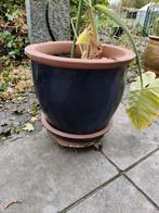 Grote bloempot voor binnen en buiten, Tuin en Terras, Bloempotten, Ophalen, Binnen