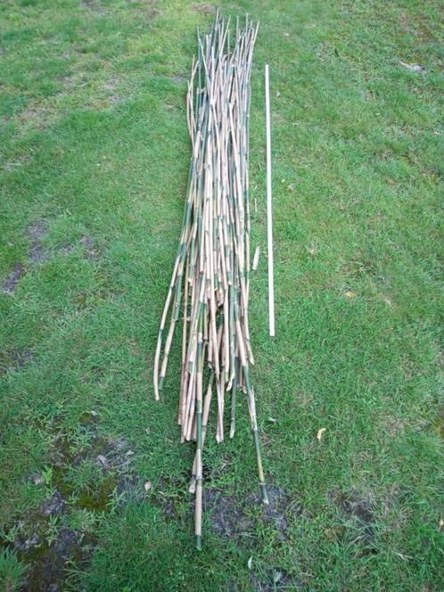 plantenstokken / bamboe stokken 10€., Tuin en Terras, Palen, Balken en Planken, Palen, Ophalen