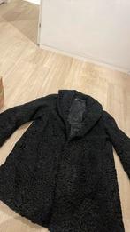 astrakan zwart, Kleding | Dames, Ophalen of Verzenden