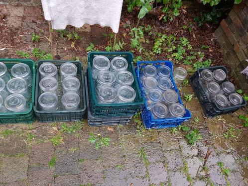 Weckpotten steriliseerbokalen, Huis en Inrichting, Keuken | Keukenbenodigdheden, Gebruikt, Ophalen