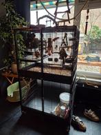 Grote kooi 2 delen, Dieren en Toebehoren, Ophalen