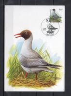 Année 2004 : Carte maximum 3268 - Oiseaux - Mouette rieuse -, Timbres & Monnaies, Timbres | Europe | Belgique, Enlèvement ou Envoi